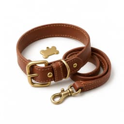 Accesorios para Perros